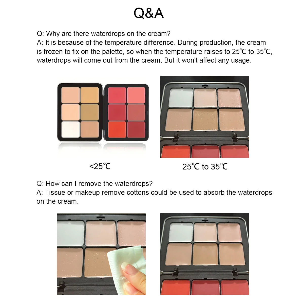 Carla Secret 12-Colour Iron Box Concealer Blush Cream