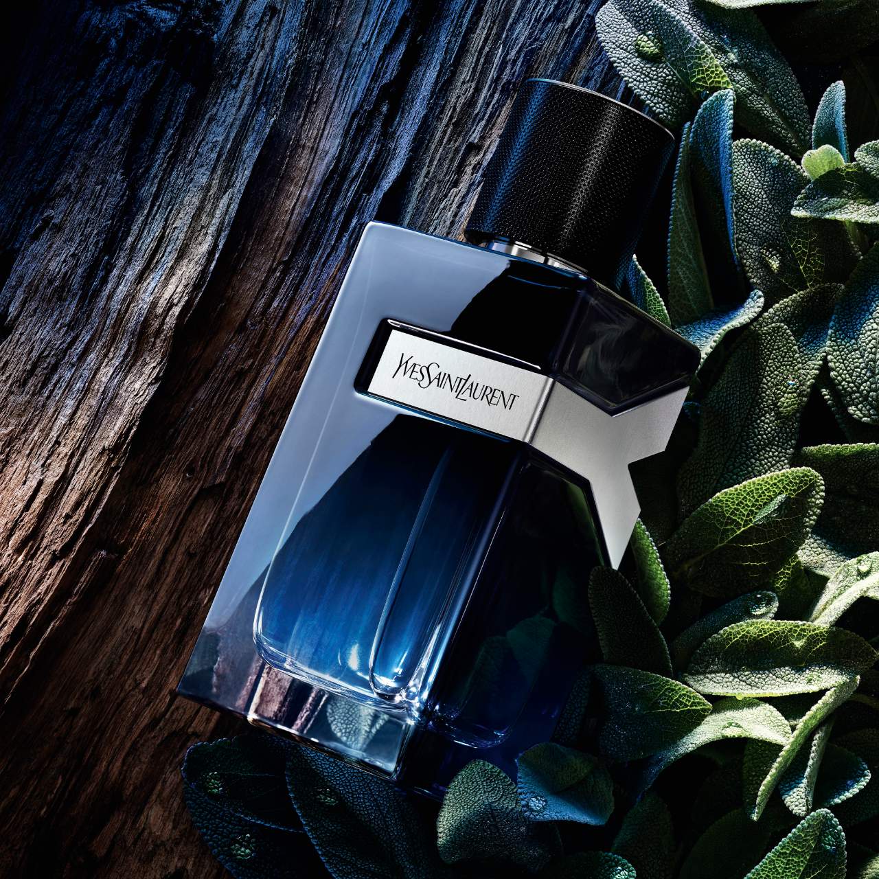 YvesSaintLaurent Eau de Parfum with Fresh Geranium & Sensual Woods