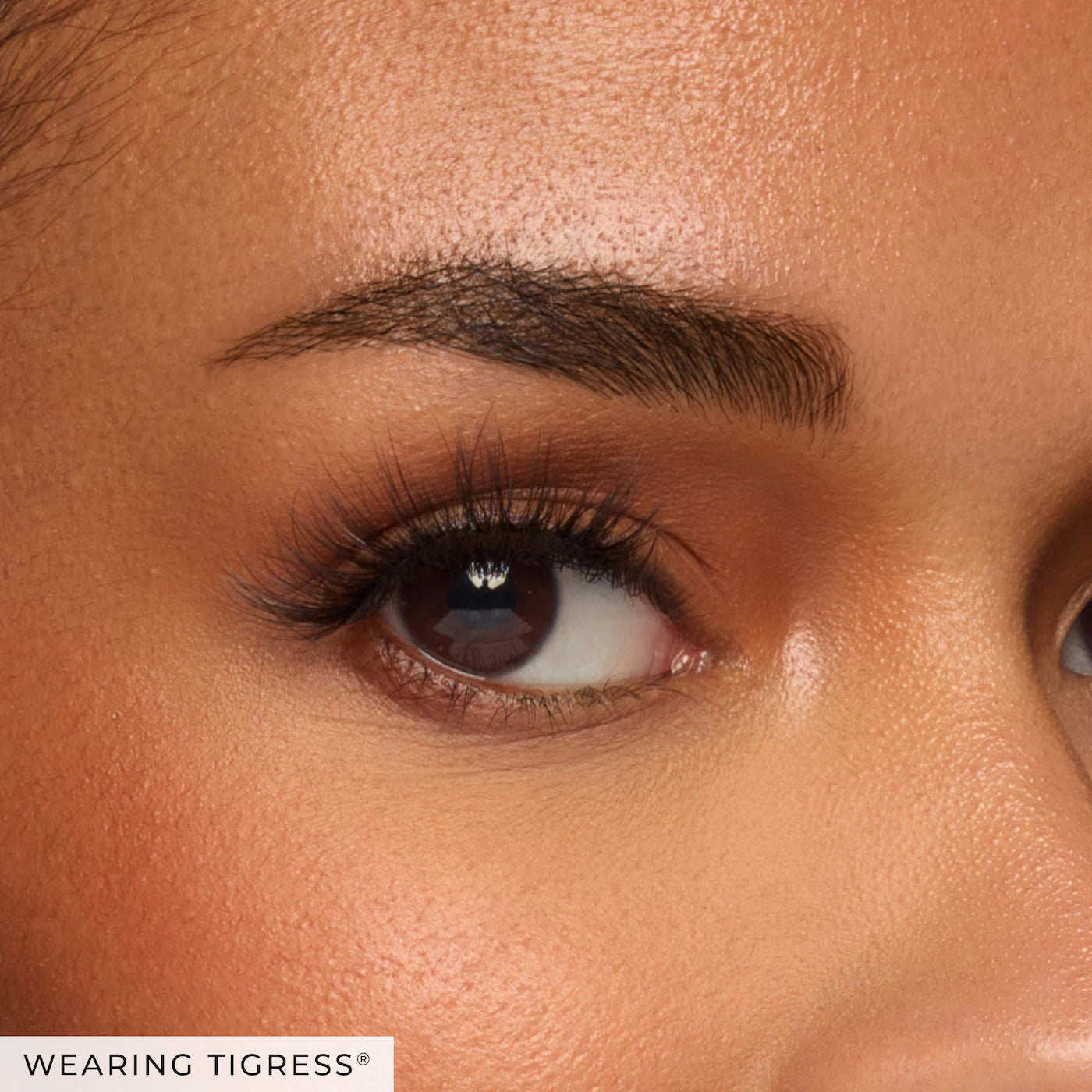 Tigress Wispy Cat-Eye Lashes